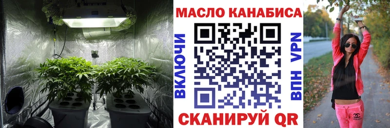 Купить где  Чудово  ТГК THC oil 