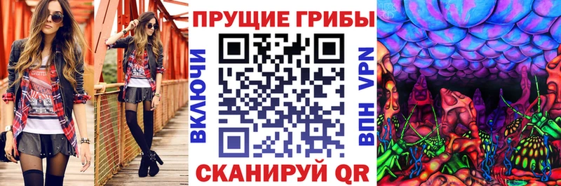 Купить закладки  Чудово  Галлюциногенные грибы Magic Shrooms 