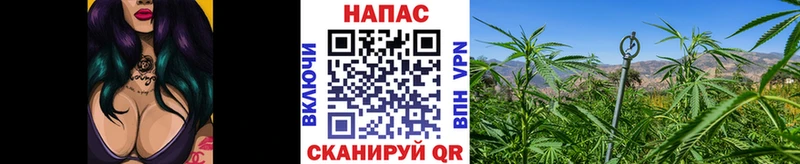 Марихуана LSD WEED  Купить  Чудово 